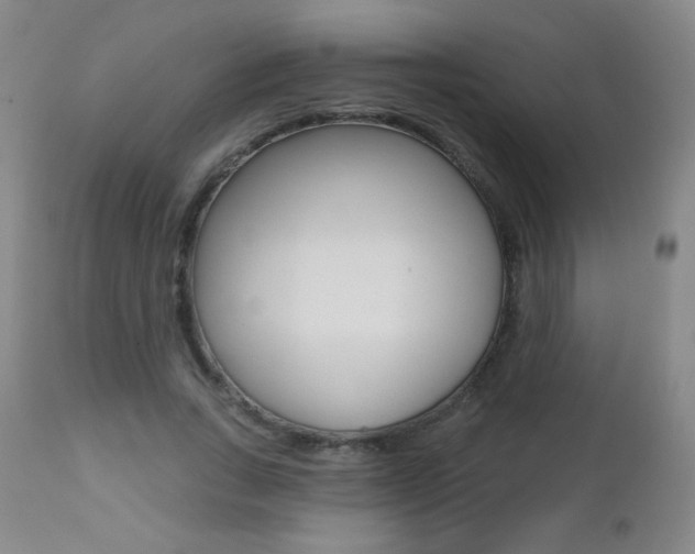 X0000112520735200908171111