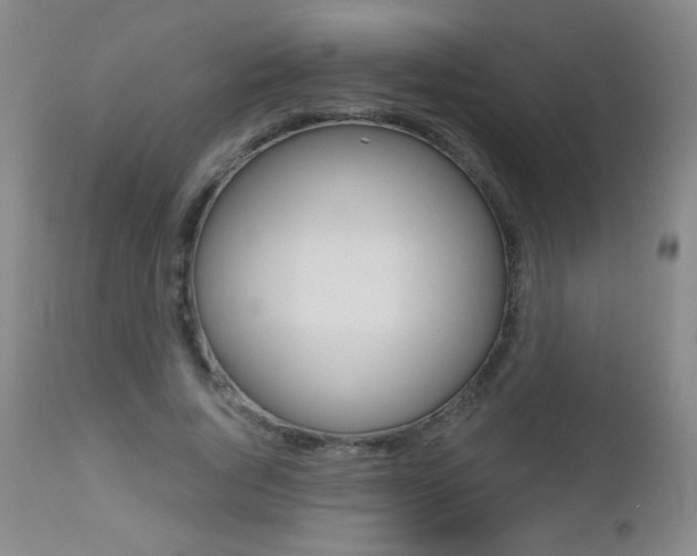 X0000112520736200908171111