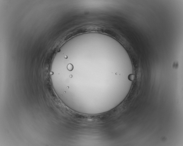 X0000112520737200908171112