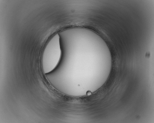X0000112520738200908171112