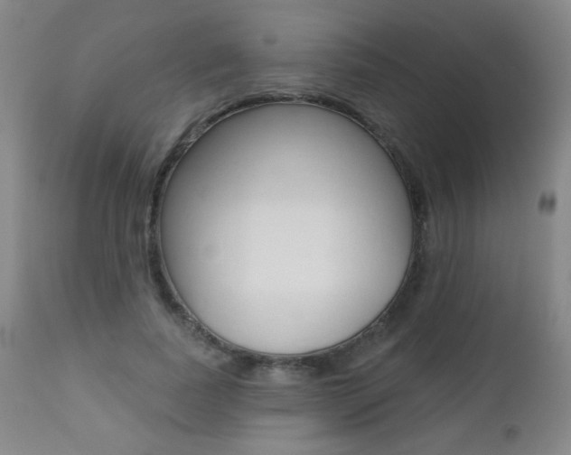X0000112520739200908171112