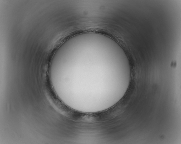 X0000112520742200908171112
