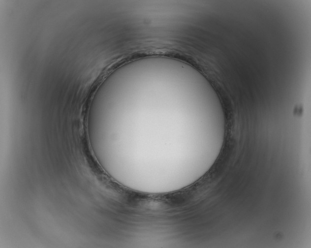 X0000112520743200908171112