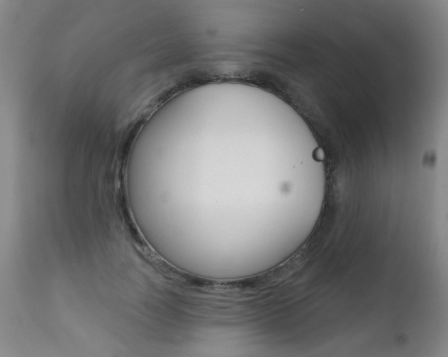 X0000112520746200908171112