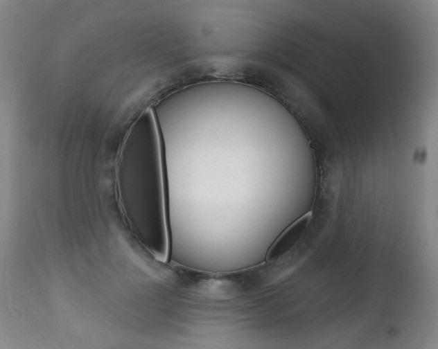 X0000112520748200908171112