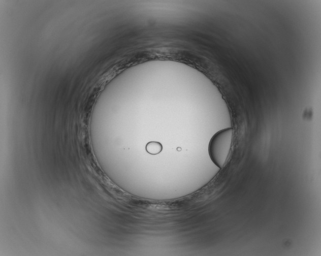X0000112520749200908171112