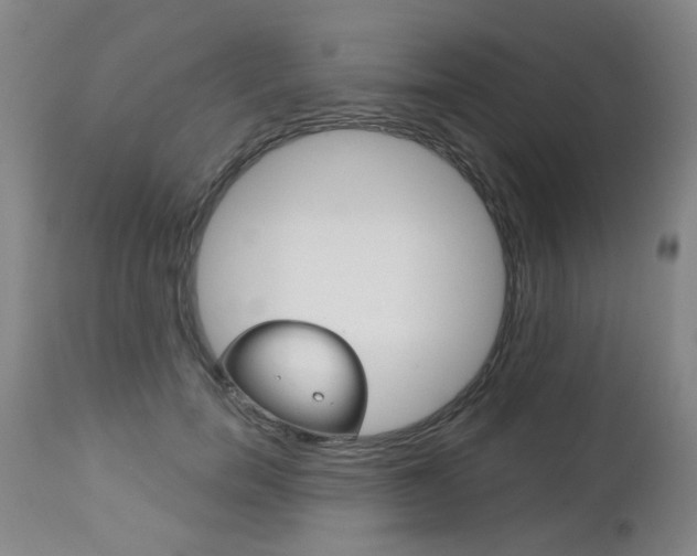 X0000112520750200908171112