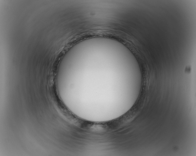 X0000112520751200908171112