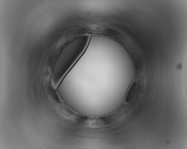 X0000112520752200908171112