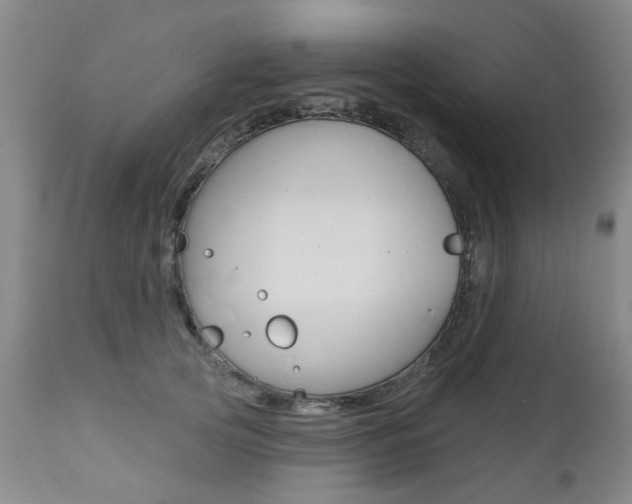 X0000112520753200908171112