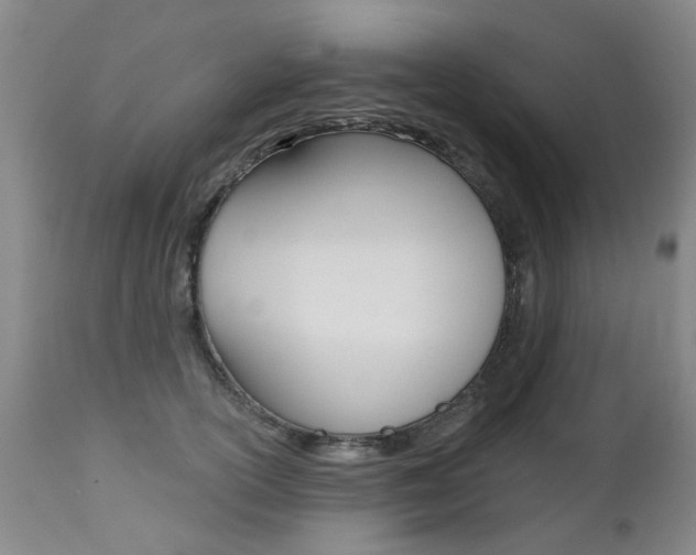 X0000112520754200908171112