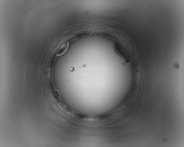 X0000112520756200908171112