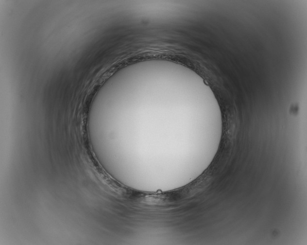X0000112520758200908171112