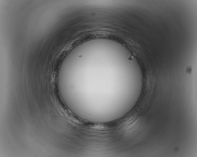 X0000112520759200908171112