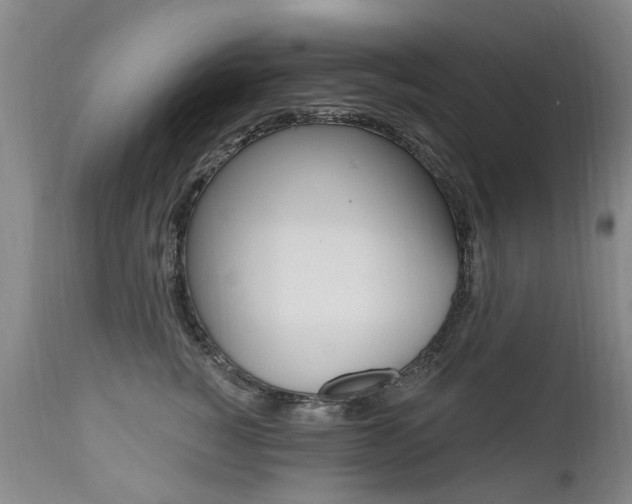 X0000112520760200908171112