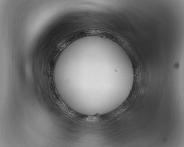 X0000112520762200908171112
