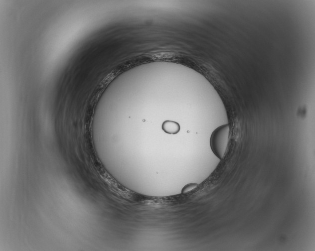 X0000112520763200908171112