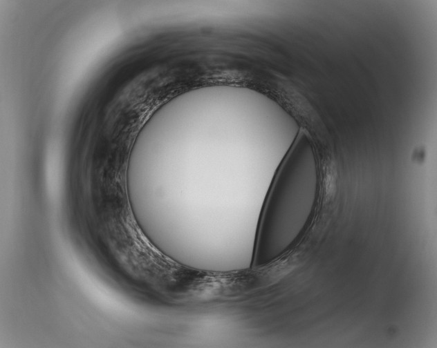 X0000112520764200908171112