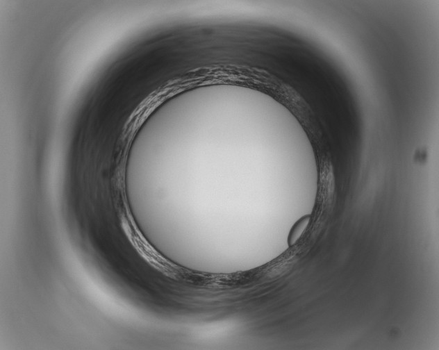 X0000112520765200908171112
