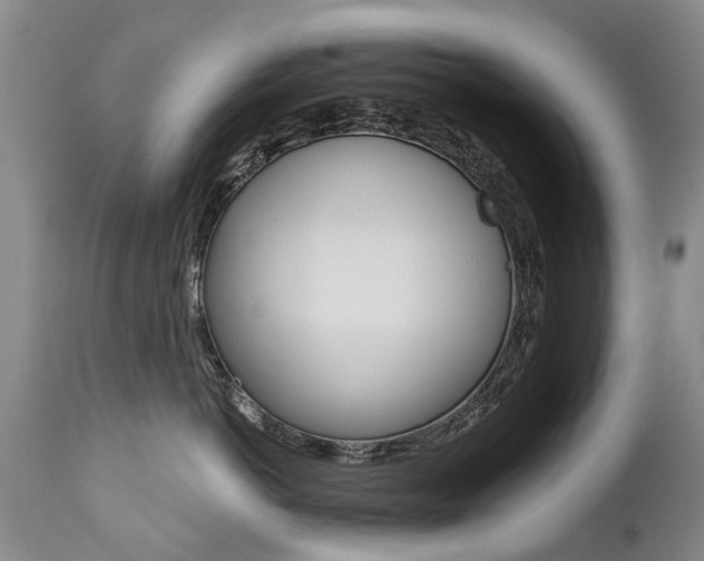 X0000112520766200908171112