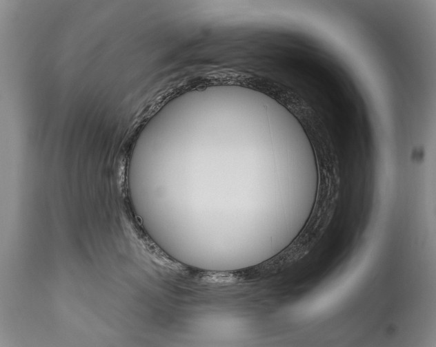 X0000112520767200908171112