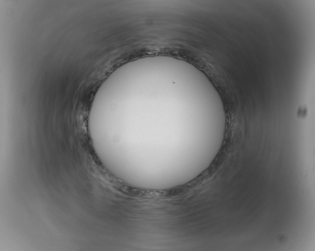 X0000112520770200908171111