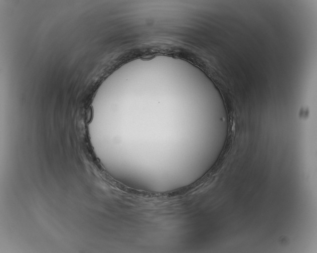 X0000112520771200908171111