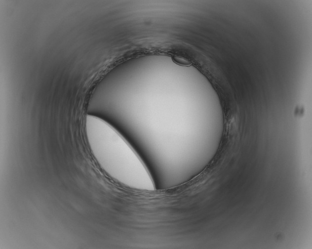 X0000112520772200908171111