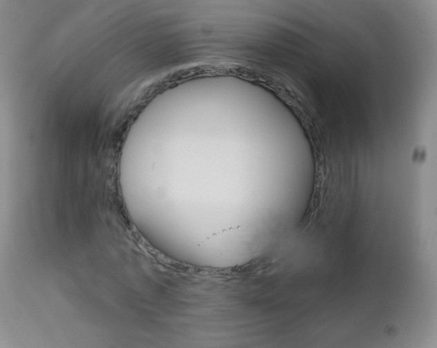 X0000112520773200908171111