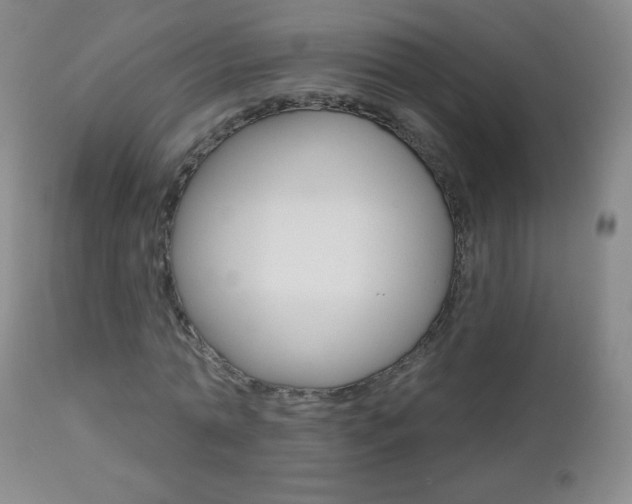 X0000112520774200908171111