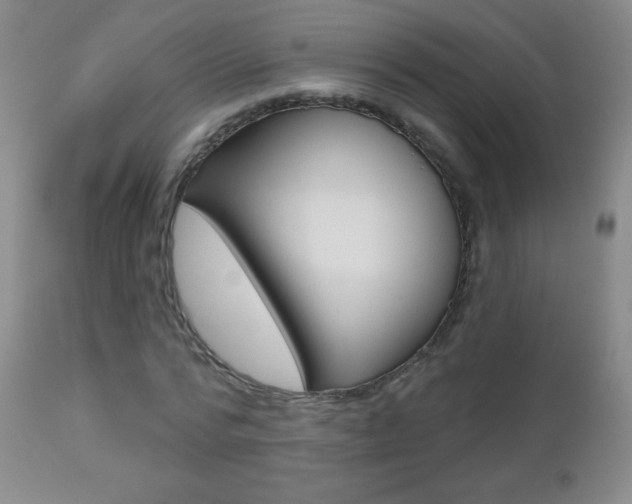 X0000112520776200908171111