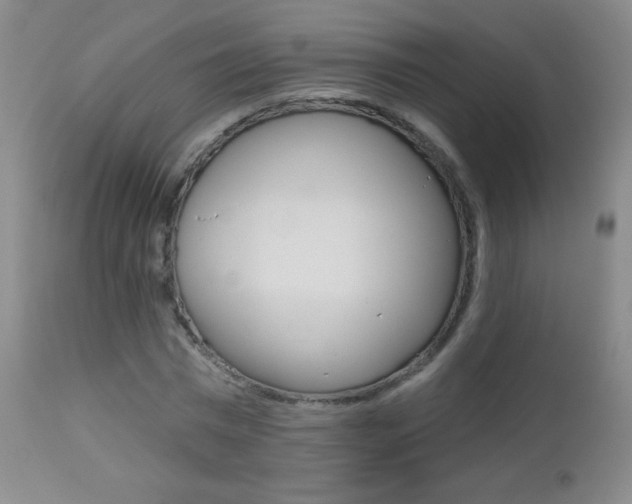 X0000112520777200908171111