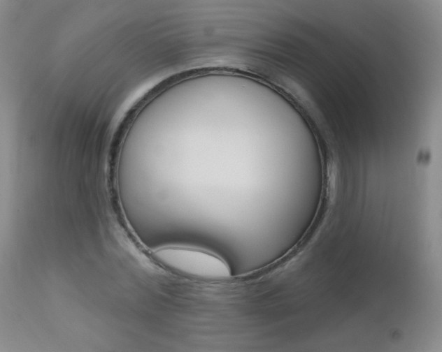 X0000112520780200908171111
