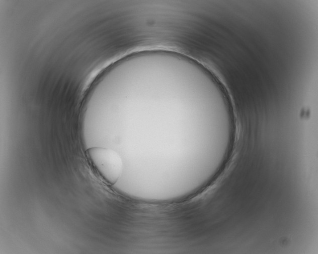 X0000112520781200908171111
