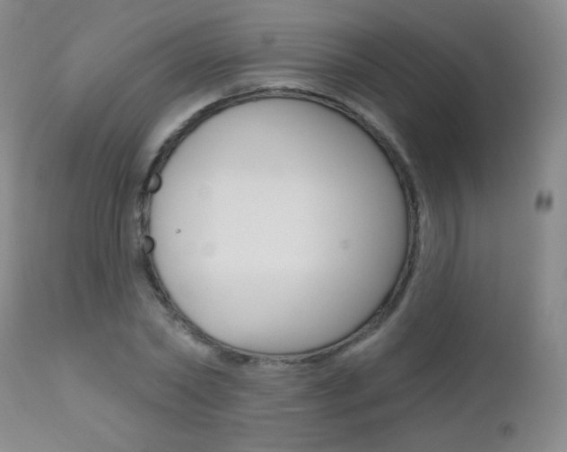 X0000112520782200908171111