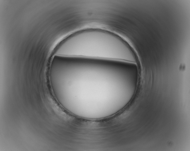 X0000112520783200908171111
