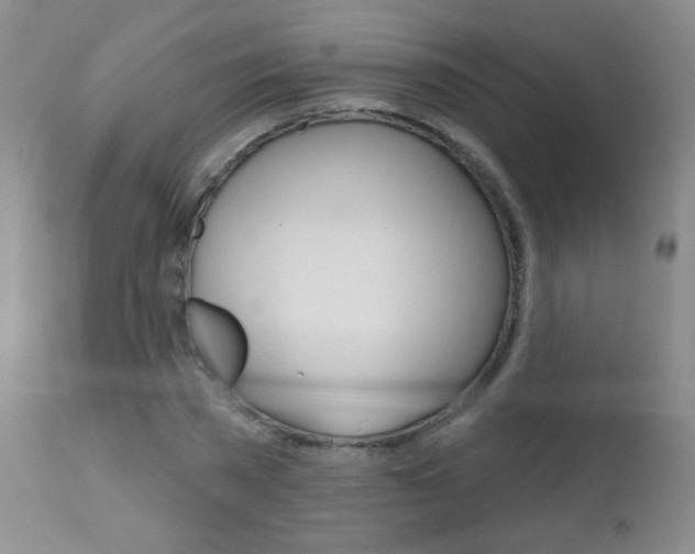 X0000112520785200908171111