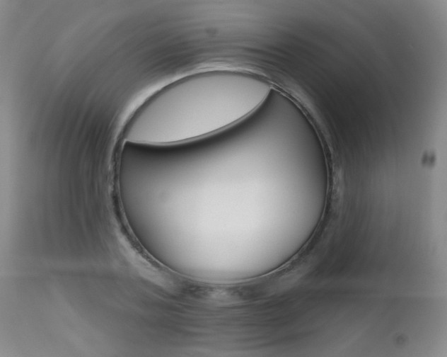 X0000112520787200908171111