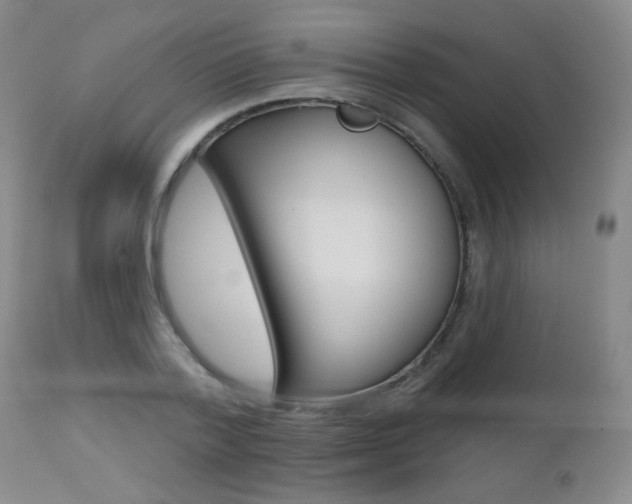 X0000112520788200908171111