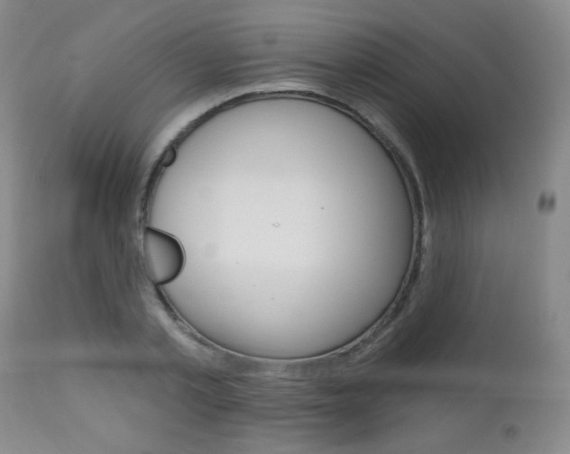 X0000112520789200908171111