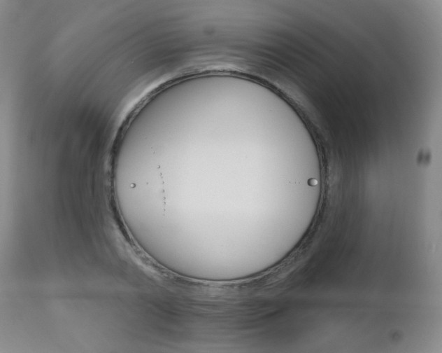 X0000112520790200908171111