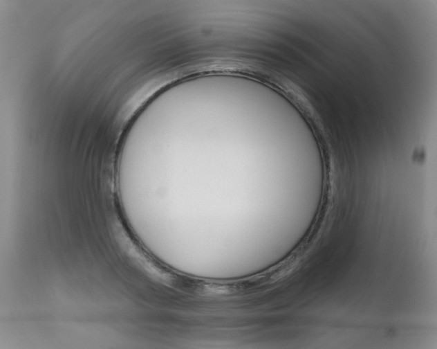 X0000112520794200908171111