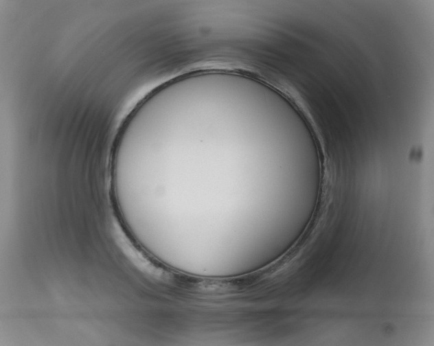 X0000112520795200908171111
