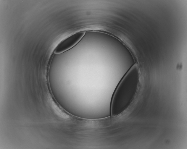 X0000112520797200908171111