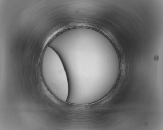 X0000112520798200908171111