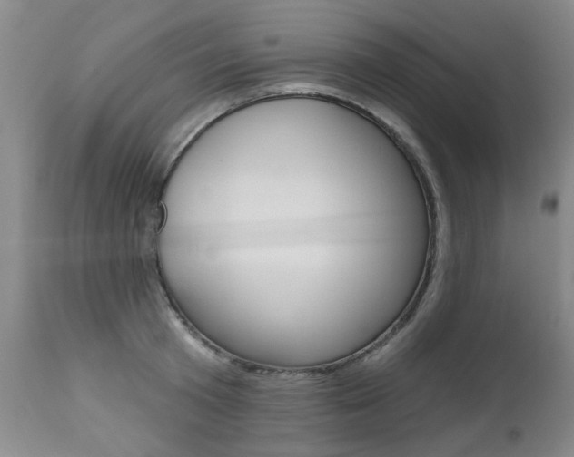 X0000112520801200908171110