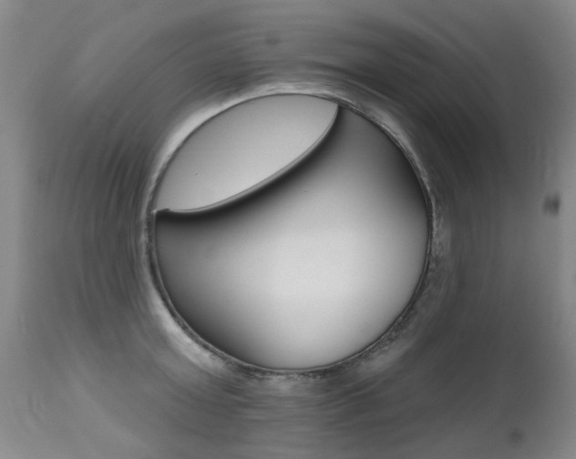 X0000112520803200908171110