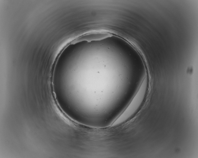 X0000112520805200908171110