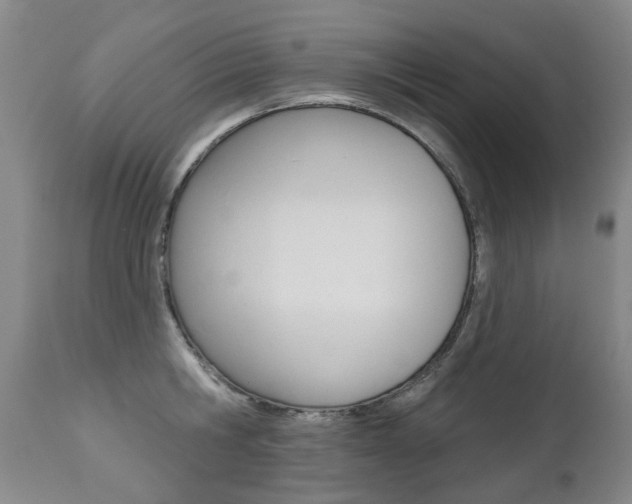 X0000112520806200908171110