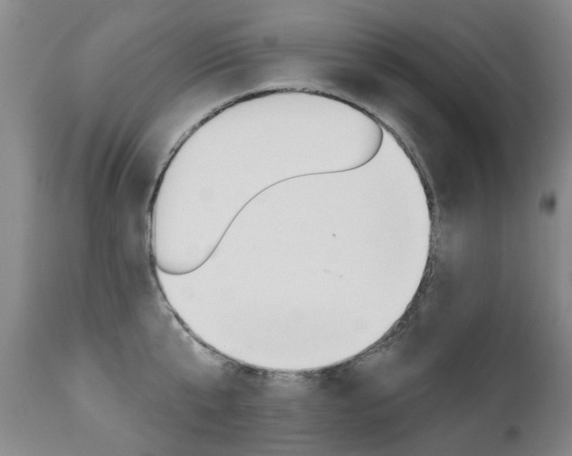 X0000112520807200908171110